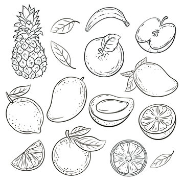 Natural fruits, vitamin juice. Vegan cuisine organic fruit or vegetarian food.
 Set of vector isolated fruits. Black and white drawing.