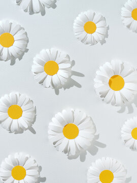 White Paper Cut Daisies 