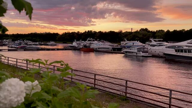 The river bank at sunset in summer. Summer landscape on the river bank. 4K video.