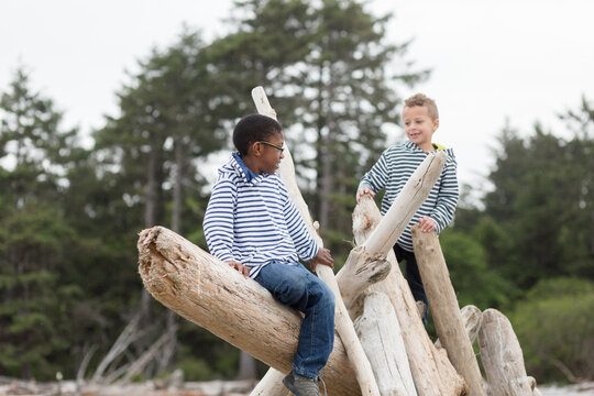 Boys on driftwood logs at beach