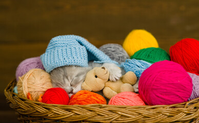 Fototapeta na wymiar Cute kitten wearing warm hat hugs favorite toy bear and sleeps inside a basket with clews of thread
