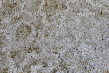 Cement plaster wall as background or texture.
