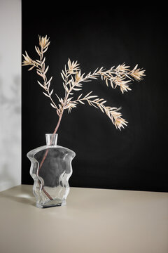 Dried flowers still life
