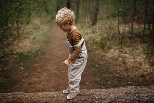 Blond toddler boy standing on a tree trunk and keeping his balance