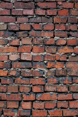 A grungy brick wall texture as background.
