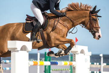 Horse Jumping, Equestrian Sports, Show Jumping themed photo.