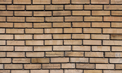 A grungy brick wall texture as background.
