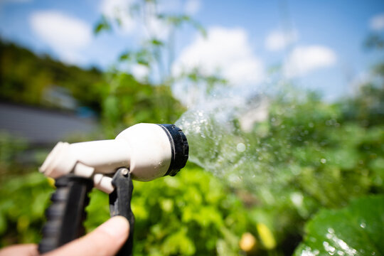 水撒き Images Browse 548 Stock Photos Vectors And Video Adobe Stock