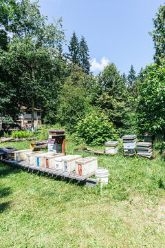 Outdoor honey farm with apiary