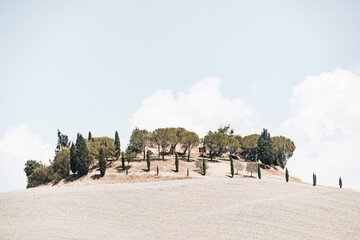 Tuscany farm on the hill 03