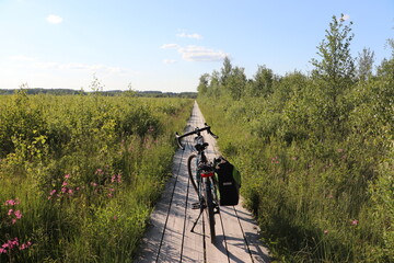 Kładki w Nowym Lipsku w dolinie rzeki Biebrzy © Monika