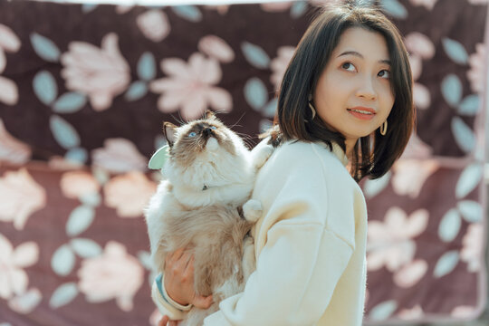 Asian female and ragdoll cat pet