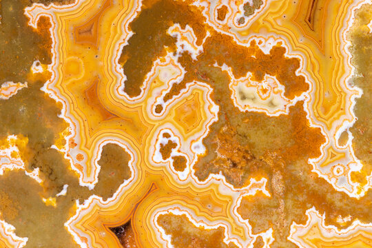 Dryhead Agate Rock Detail