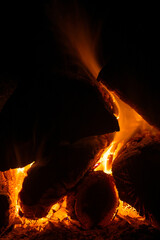 Burning logs - Long exposure fire