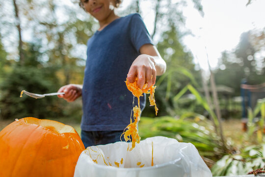 Boy drops handful of stringy pumpkin seeds
