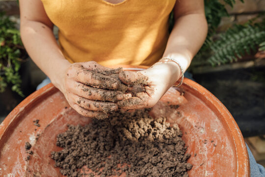 organic seed bombs