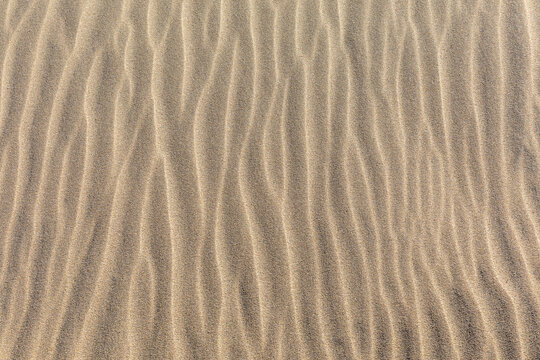Rippled sand dune