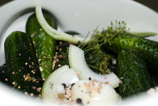 Einlegegurken - Cucumis sativus