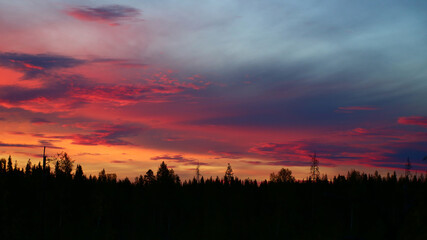 Colorful sunset clouds in front of forest silhouette