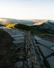 a path with trees on the side of a mountain