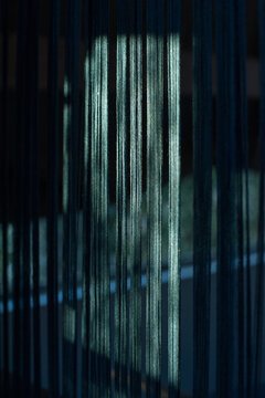 Indigo-dyed cotton thread in the loom