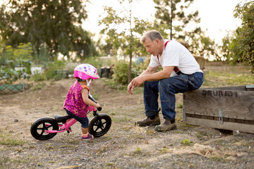 Toddler tips on bike while grandfather watches