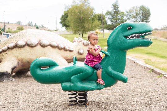 Cute toddler on green dinosaur at park