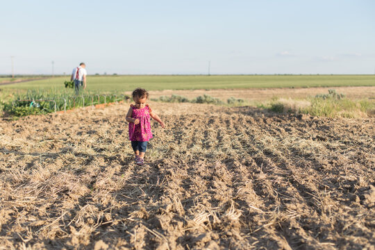 Toddler walks through sunny tilled field