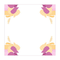 summer frame with hibiscus flowers