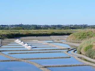 Fototapeta na wymiar The salt marshes in Guerande. June 2021, France.