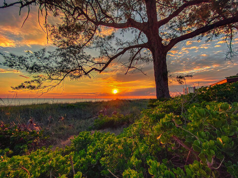 The Sunset on Longboat Key