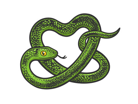 snake in form of heart symbol color line art sketch engraving vector illustration. T-shirt apparel print design. Scratch board imitation. Black and white hand drawn image.