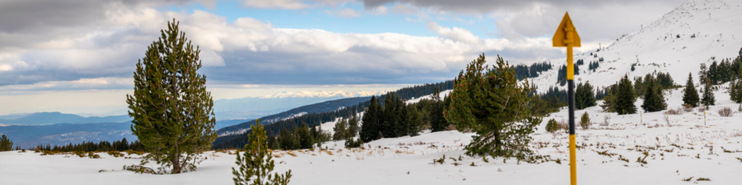 Winter panorama