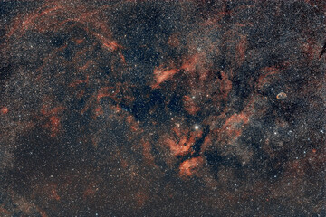 Widefield shot of Sadr Region Nebula in night sky
