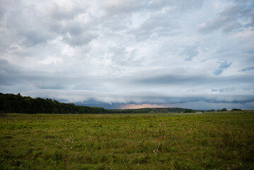 green village meadow with dark sky