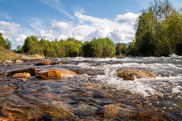 mountain river bed with stones on the background of forest and mountains in the distance