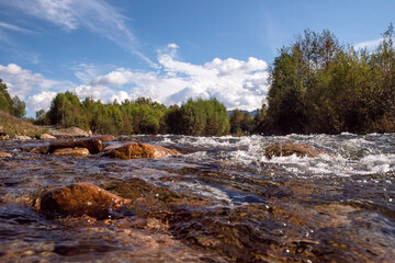 mountain river bed with stones on the background of forest and mountains in the distance