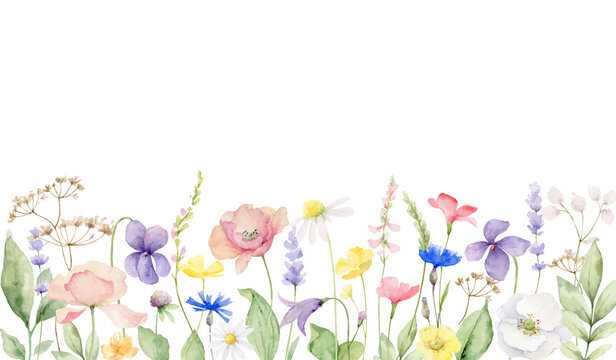Watercolor vector banner of with wildflower flowers and leaves.