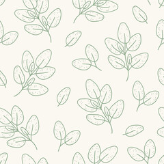 Seamless pattern with oregano on beige background. Contour vector illustration