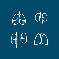 lungs and kidneys, internal organs line icon set. lungs and kidneys, internal organs line icon set.