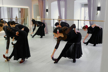 flamenco dance school for adult dancer woman