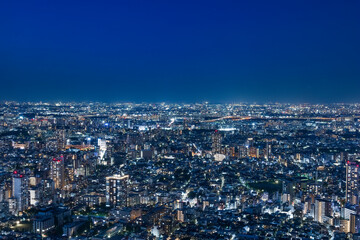 Fototapeta na wymiar 灯りが綺麗な夜の東京の景色