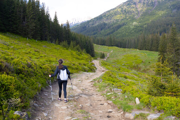 Woman hiker hiking in the mountains in summer to the highest ukrainian ridge Marmarosy near Romania.