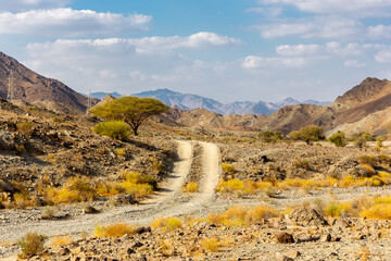 Copper Hike trail, winding gravel dirt road through Wadi Ghargur riverbed and rocky limestone Hajar...