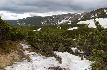 Mountain peak in cloudy day in summer in Marmarosy ridge, Carpathian, Ukraine