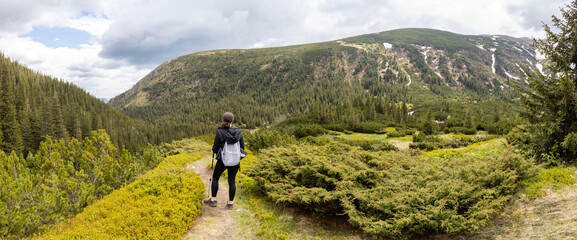 Woman hiker hiking in the mountains in summer to the highest ukrainian ridge Marmarosy near Romania.