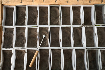 View at sorted ground inside plastic boxes