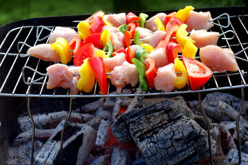 BROCHETTES BARBECUE DEBUT CUISSON