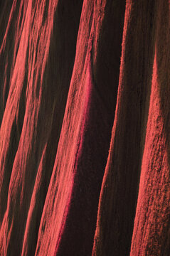 Abstract Infrared Mountain Meadow Structure