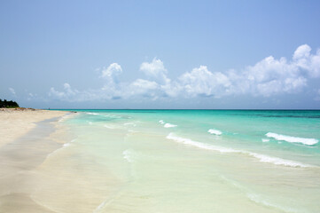 Fototapeta premium beach with sand in Varadero. 